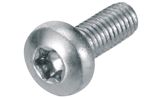 Ernst Schweizer MSP-FR-S Schraube M6x16 (VPE200)