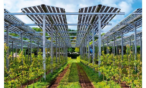 MKG Göbel GMS Double Agrivoltaico